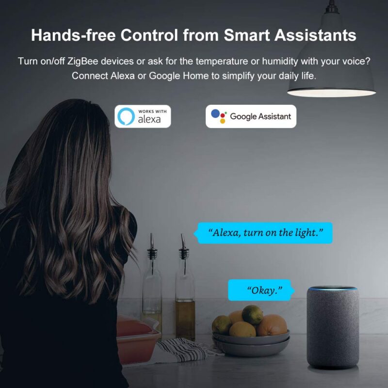 SONOFF ZBBridge Smart Zigbee Bridge Between ZigBee And Wi-Fi Devices EWeLink APP Wireless Remote Control Smart Scene Alexa &mdash; 61LkX0kqjpL._SL1000_